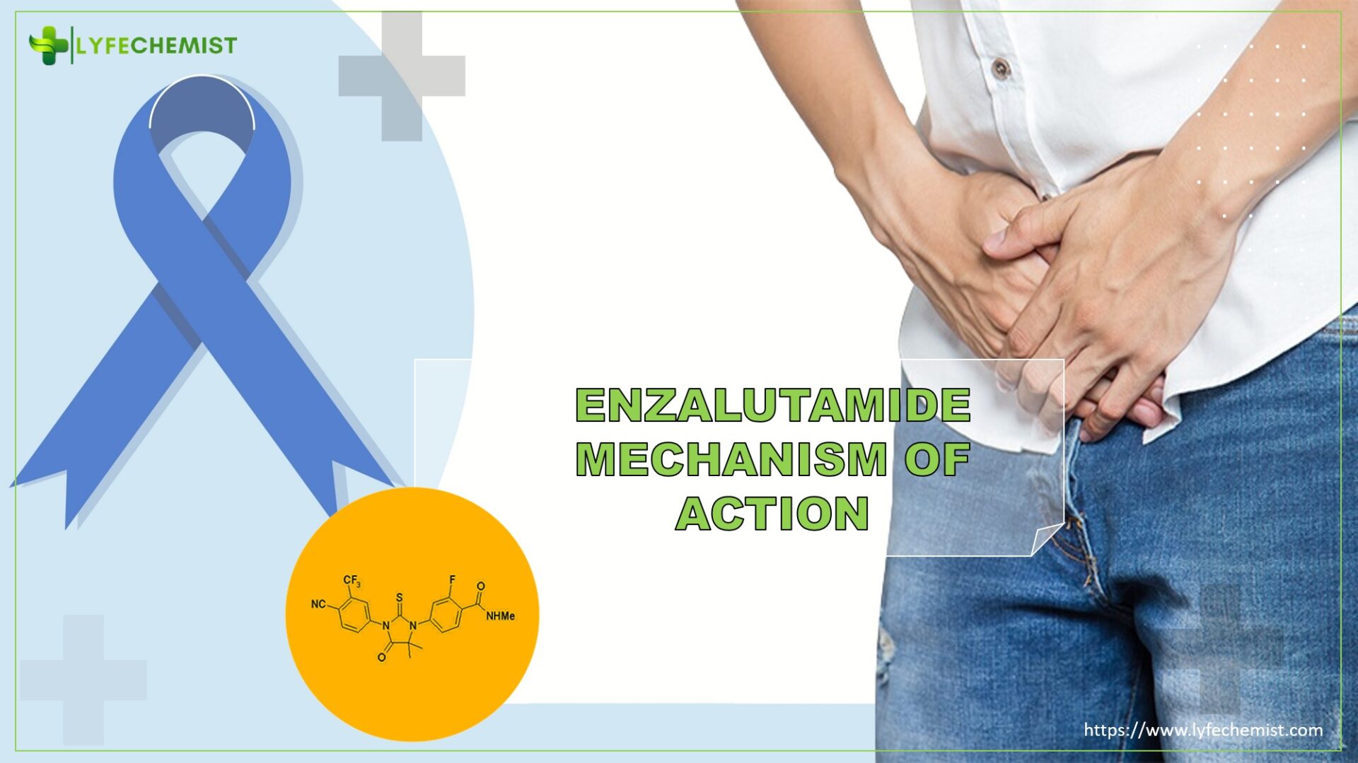 Enzalutamide mechanism of action